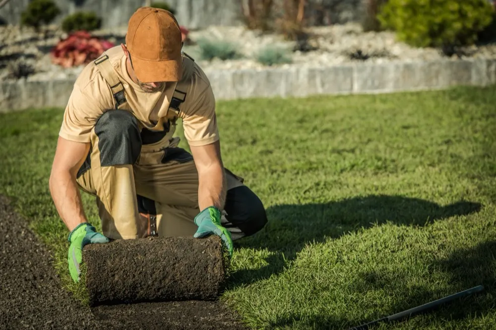 A landscaper kneeling to lay a roll of turf in a finished garden.